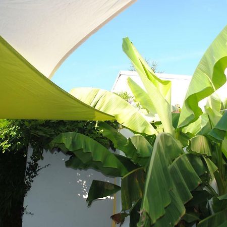 Quévreville-la-Poterie Chambres D'Hotes La Tribu المظهر الخارجي الصورة