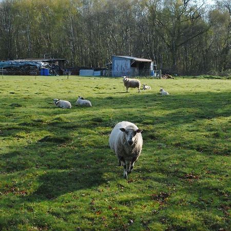 Quévreville-la-Poterie Chambres D'Hotes La Tribu المظهر الخارجي الصورة